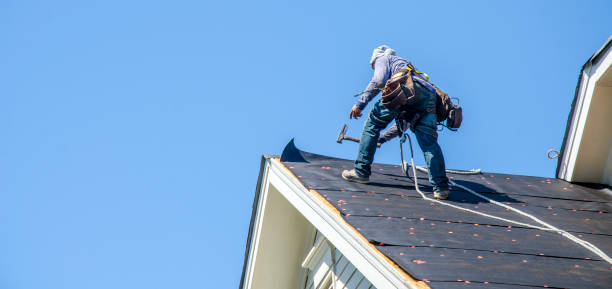 Best Roof Gutter Cleaning  in Newport, SC